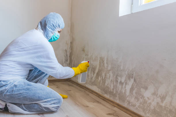 Crawl Space Mold Remediation treatment of floor joists in Salem